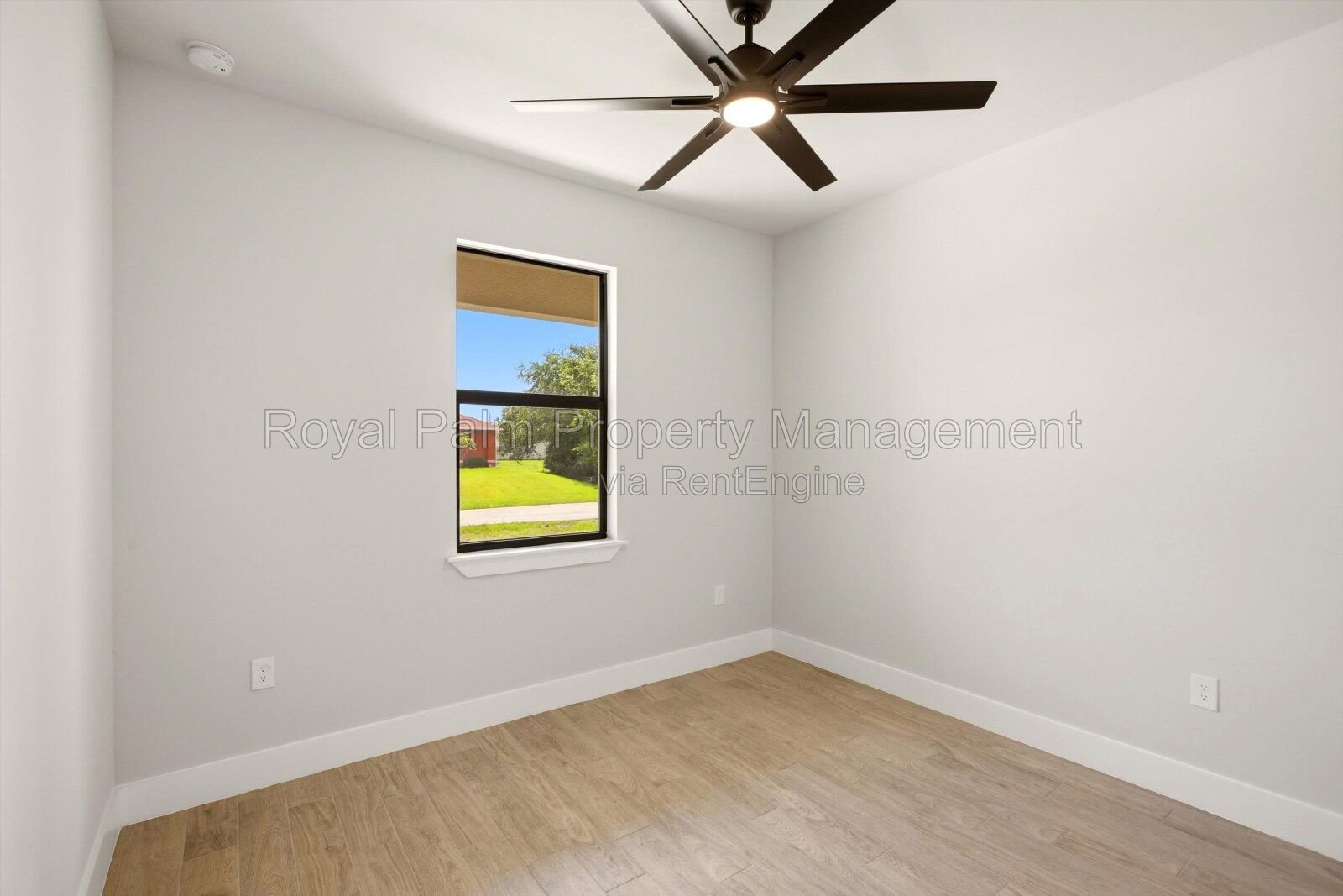 New 3/2 Pool Home for Rent on Canal, Fenced Yard, Pets Welcome. Your Dog Approves of This Backyard property image